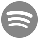 How to Get on Top 100 Spotify Charts (PDF)