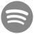 100,000 Spotify Algorithmic ADS Plays