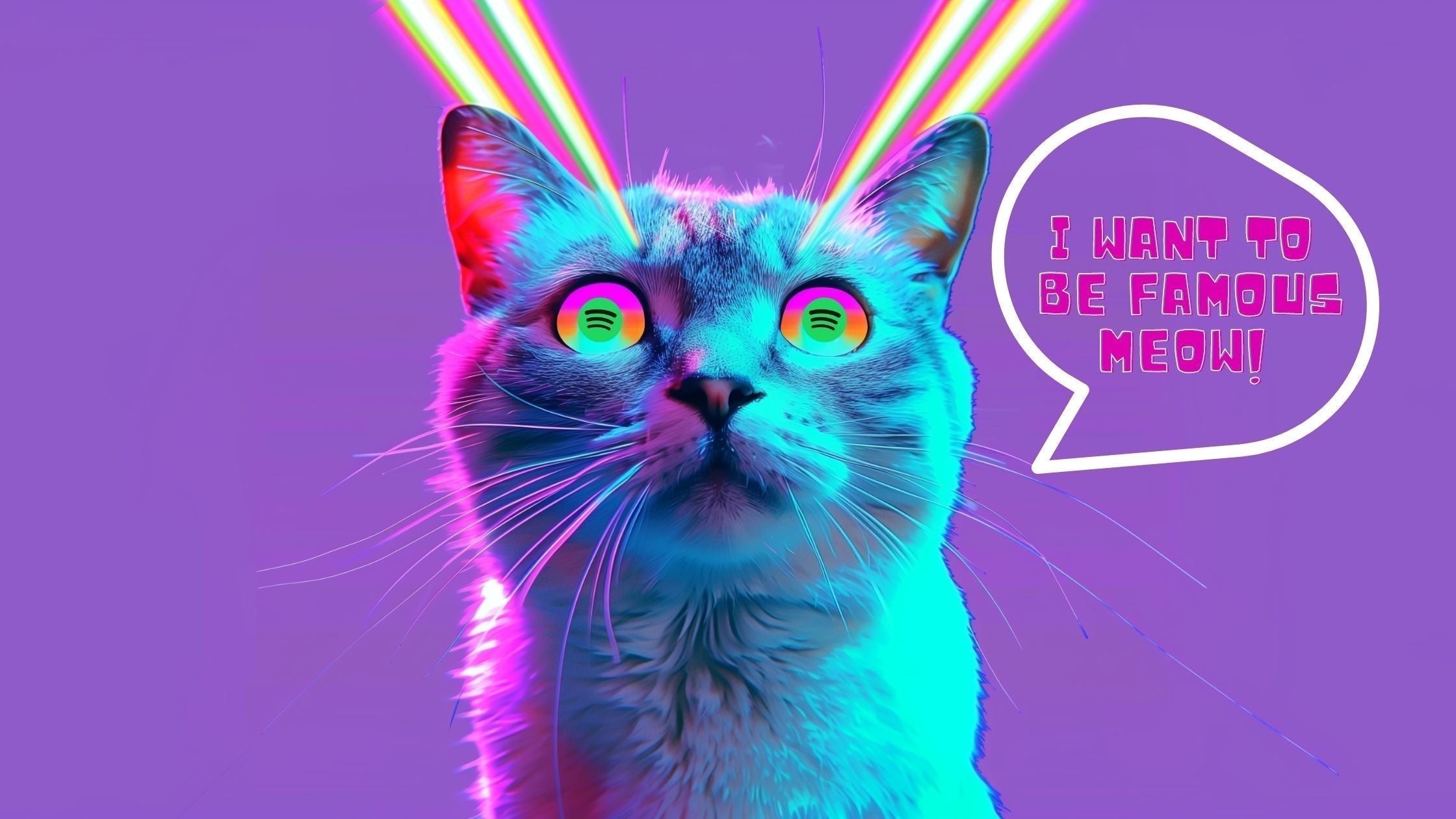 Spotify-Plays erklärt: Welcher Typ eignet sich am besten für Musiker?